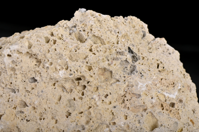 Cargneule - détail (Col d'Izoard, Alpes)